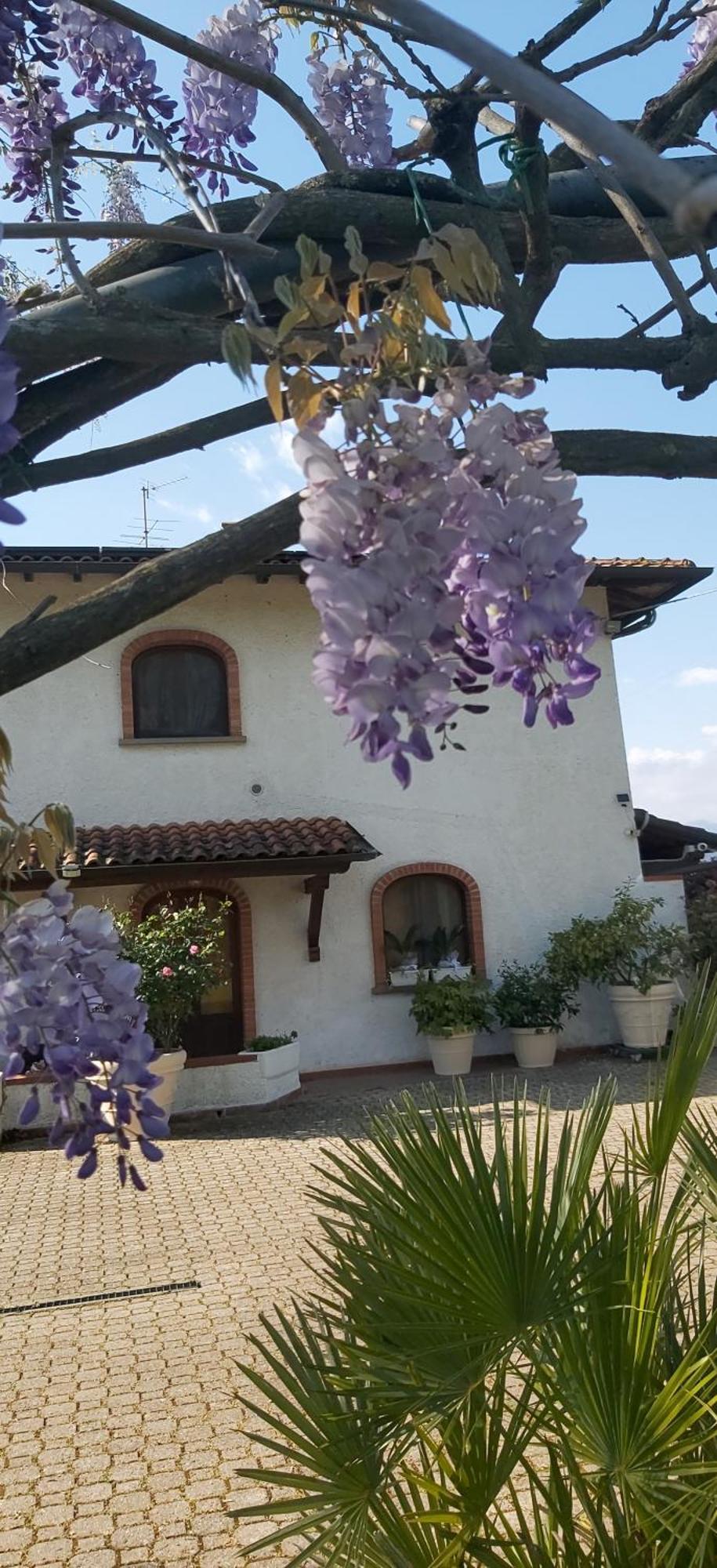 Villa Fioccomare Камайоре Екстериор снимка